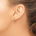 14k Polished Hollow U-Shaped Hoops