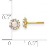 14K Polished CZ and Created Opal Circle Screwback Post Earrings