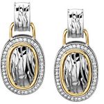 Sterling Silver & 14K Yellow 1/5 CTW Natural Diamond Zebra Skin Earring - 67051