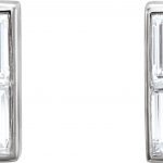 Platinum 1/2 CTW Natural Diamond Earrings - 86339