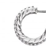 Platinum 1/5 CTW Natural Diamond Rope Hoop Earrings - 86473