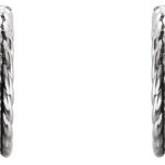 Platinum 1/5 CTW Natural Diamond Rope Hoop Earrings - 86473