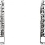 Platinum 1/8 CTW Natural Diamond Hoop Earrings - 86596